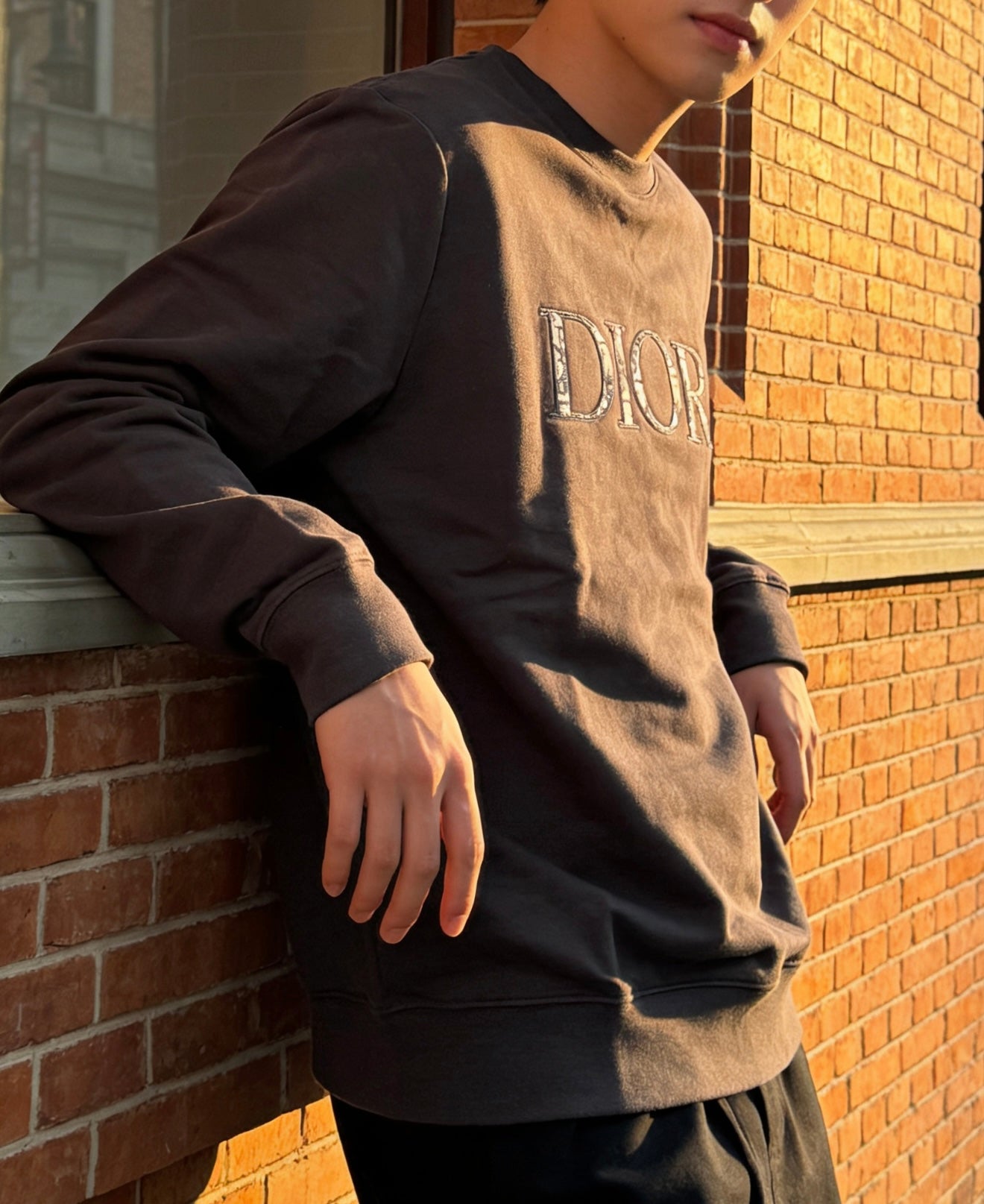 Felpa Dior